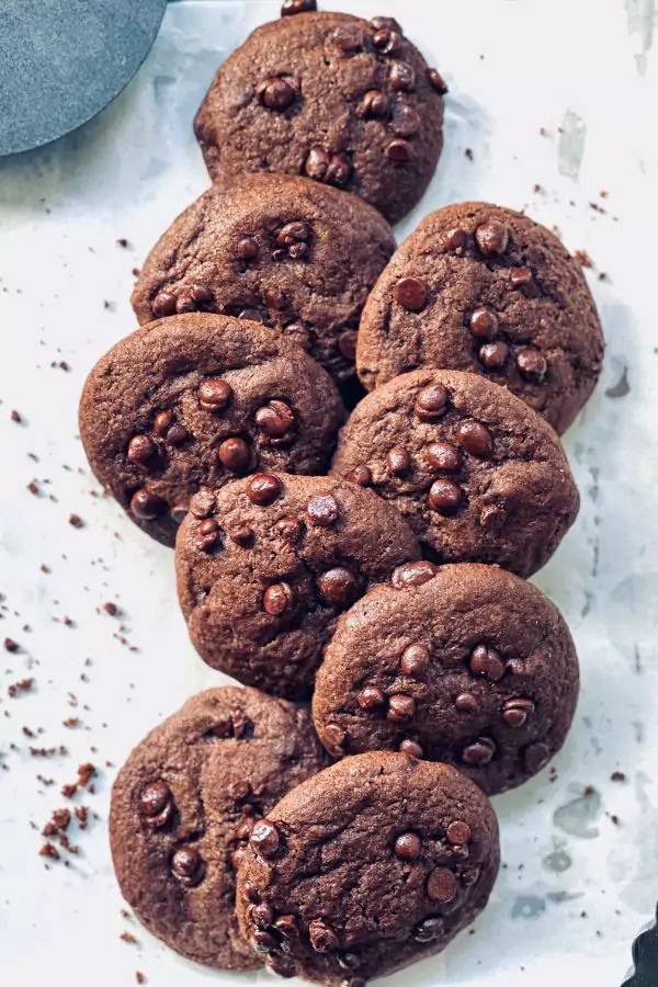 Chocolate Sugar Cookies