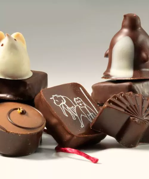 Chocolate Penguin