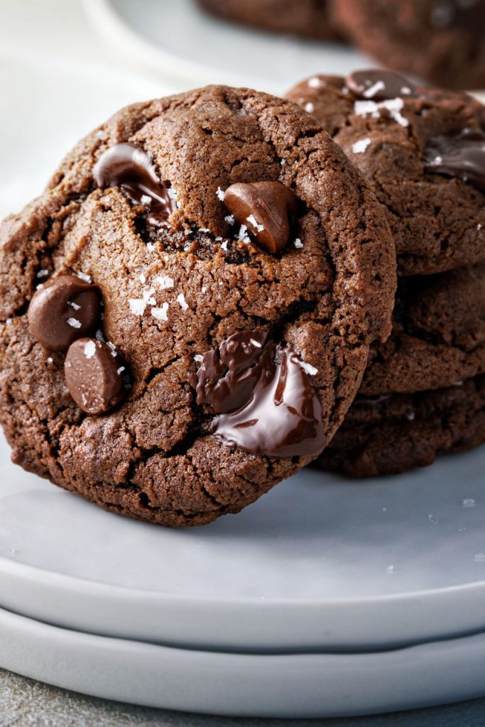 Double Chocolate Chip Cookies