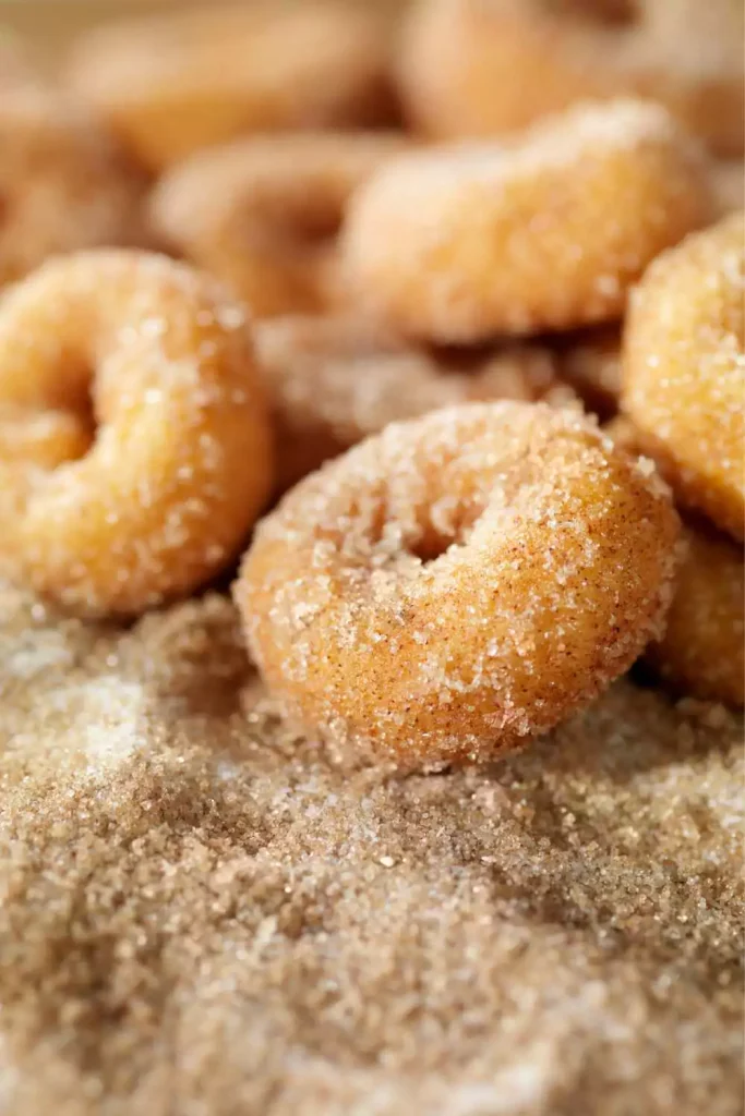 Air Fryer Cinnamon Sugar Donuts